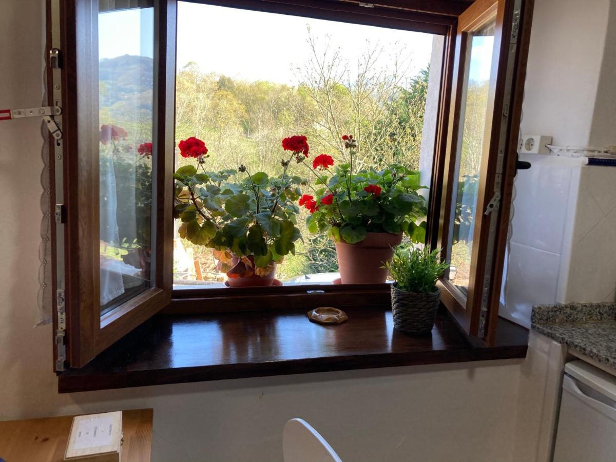 Casa Elena Cangas De Onis Con Wifi Y Parking Gratuito Luaran gambar