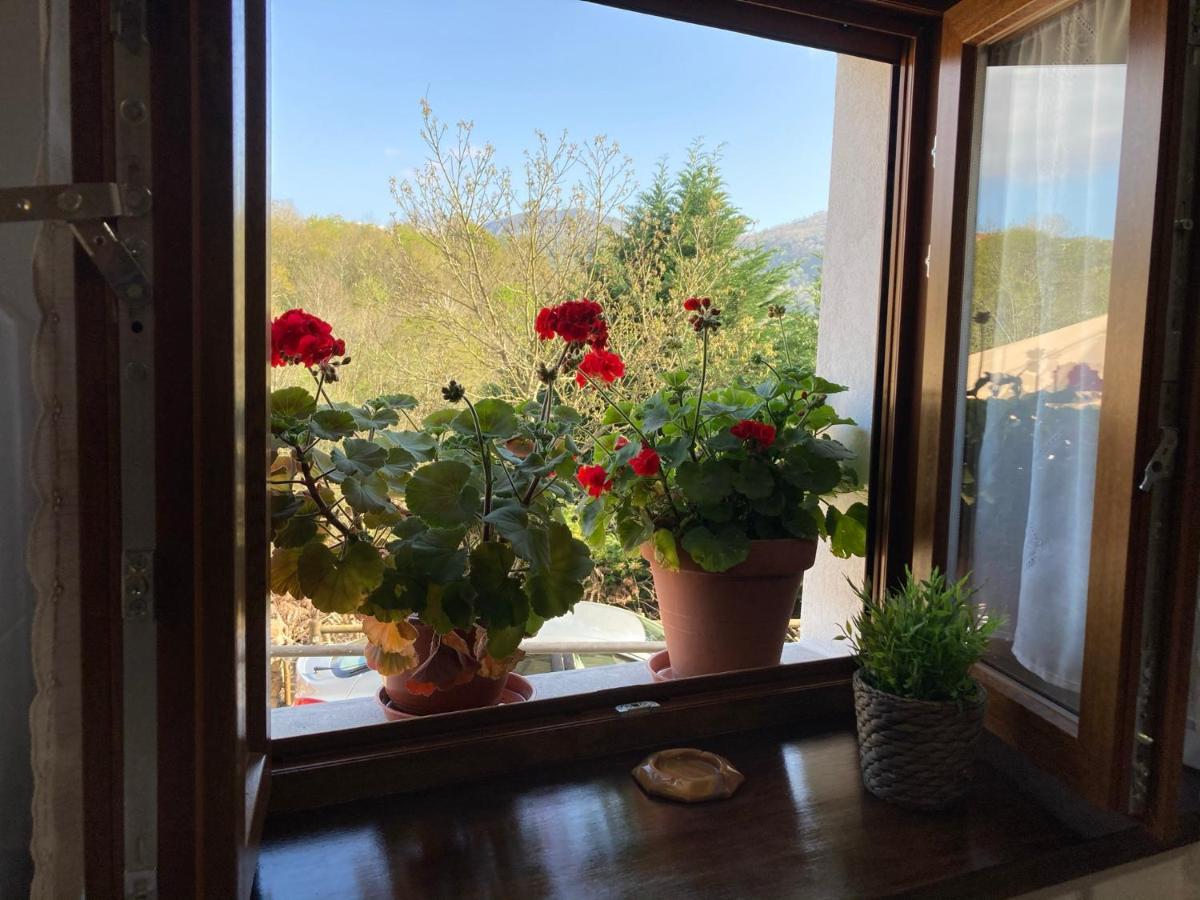 Casa Elena Cangas De Onis Con Wifi Y Parking Gratuito Luaran gambar